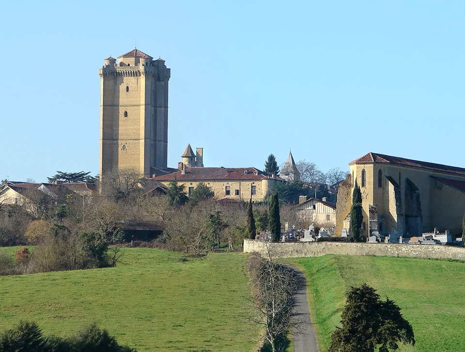 About Chateau De Bassoues